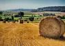 Meule de paille dans un champ moissonné à la campagne.