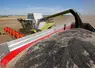 Moisson du Colza dans les plaines cerealieres de la Marne. Agriculteur moissonnant sa parcelle de Colza avec une moissonneuse bateuse Claas 740 Lexion.