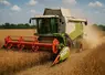 Une moissonneuse dans un champ de colza 2025