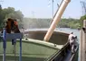 Photo d'un chargement de blé sur une péniche sur la Seine