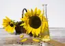 <em class="placeholder">fleur de tournesol et flacon  d'huile végétale</em>