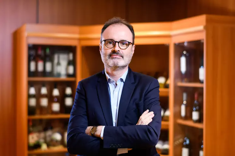 Pierre Scohy, directeur filière boissons/vins d’Agromousquetaires. © PhJacob