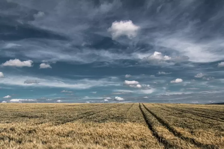 La France et d'autres pays européens voisins sont victimes de mauvaises conditions climatiques en cette période de moissons.