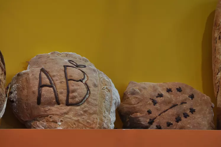 Boulangerie transformation des céréales, farine de froment, pain avec logo AB