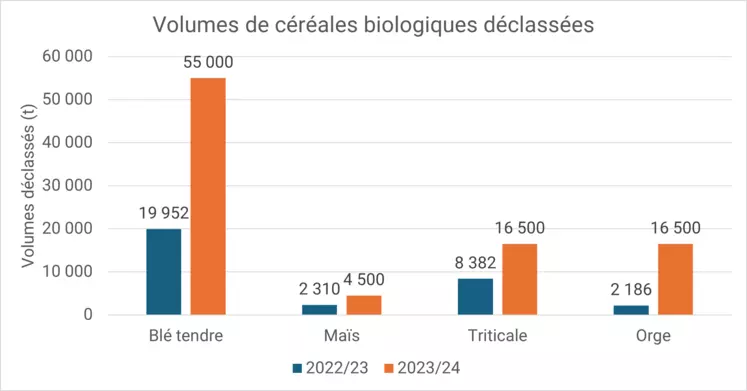 Graphe représentant les déclassements en blé tendre, triticale, maïs et orges bio en 2022-2023 et 2023-2024