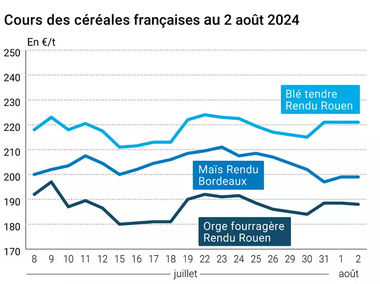 prix du blé tendre rendu Rouen, de l'orge fourragère rendu Rouen et du maïs rendu Bordeaux en juillet août 2024