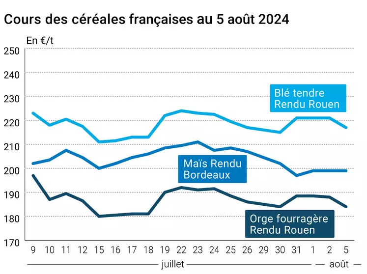 prix du blé tendre rendu Rouen, de l'orge fourragère rendu Rouen et du maïs rendu Bordeaux en juillet août 2024