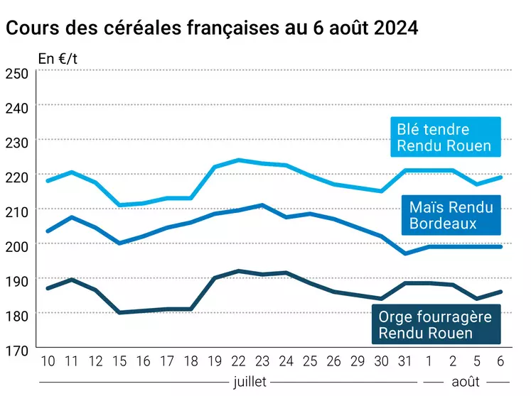 prix du blé tendre rendu Rouen, de l'orge fourragère rendu Rouen et du maïs rendu Bordeaux en juillet août 2024