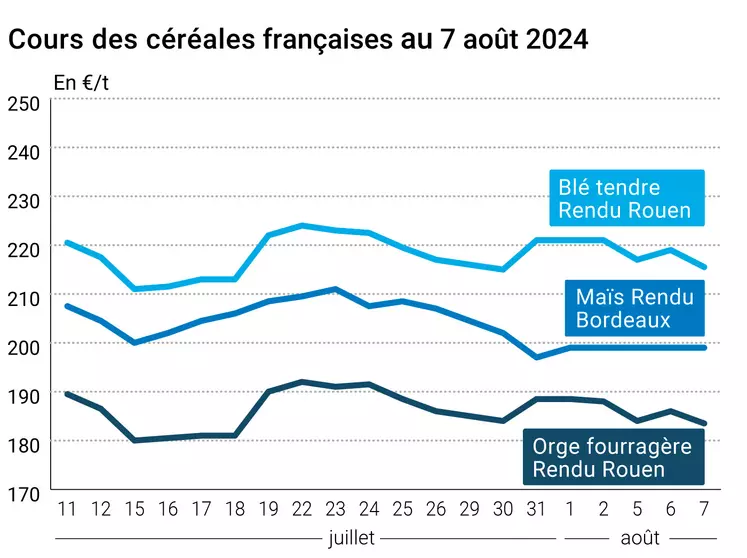 prix du blé tendre rendu Rouen, de l'orge fourragère rendu Rouen et du maïs rendu Bordeaux en juillet août 2024