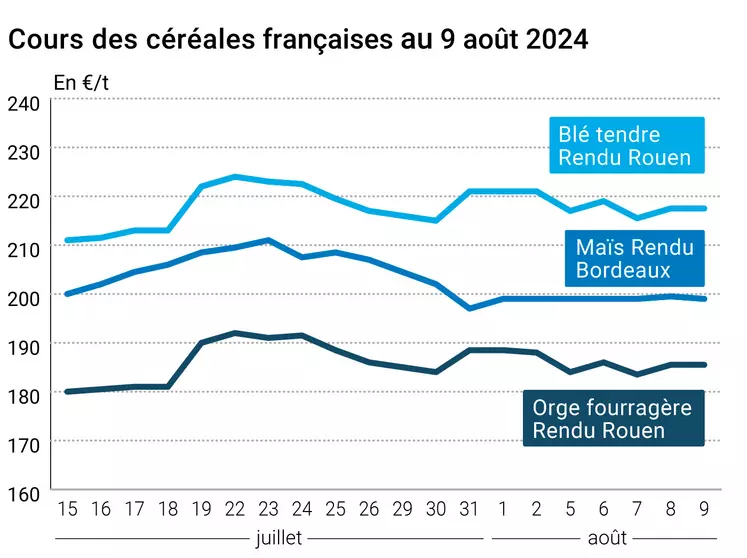 prix du blé tendre rendu Rouen, de l'orge fourragère rendu Rouen et du maïs rendu Bordeaux en juillet août 2024