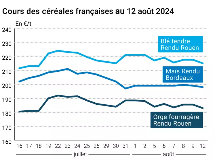 prix du blé tendre rendu Rouen, de l'orge fourragère rendu Rouen et du maïs rendu Bordeaux en juillet août 2024