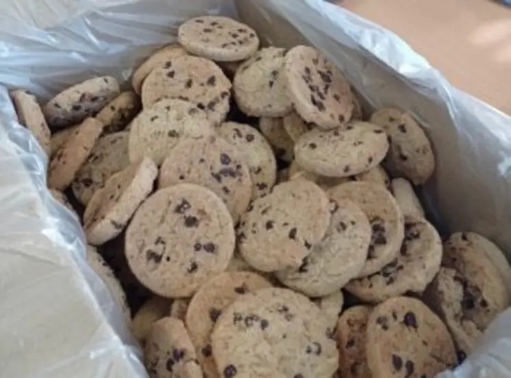 Biscuits bio noix-chocolat, fabriqués avec du blé biscuitier Gwastell.