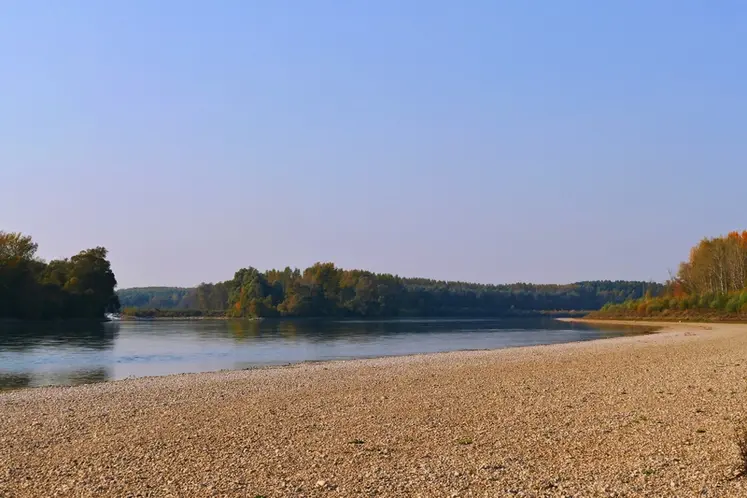 <em class="placeholder">Basses eaux du Danube. Le réchauffement climatique perturbe de plus en plus la logistique du commerce des grains, en particulier dans le transport fluvial. </em>