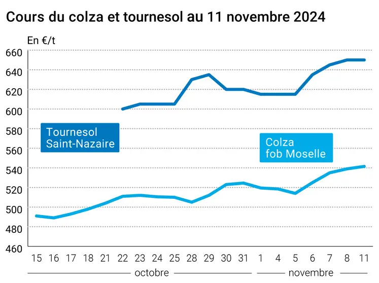 Graphique cours oléagineux français au 12 novembre 2024