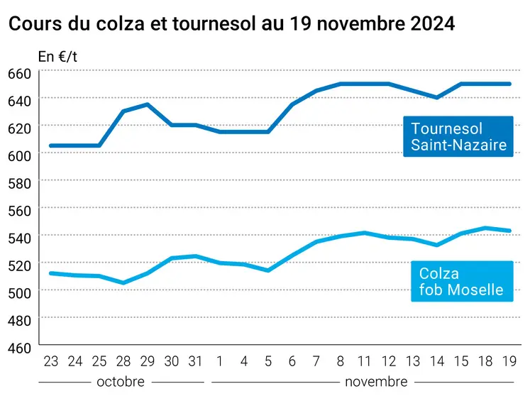 Graphique cours oléagineux françaises au 19 novembre 2024