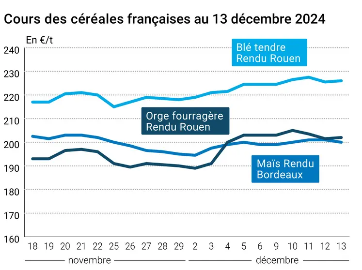 Graphique cours céréales françaises au 13 décembre 2024