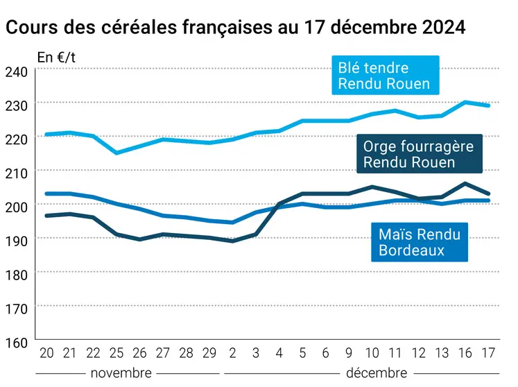 Graphique cours céréales France au 17 décembre 2024