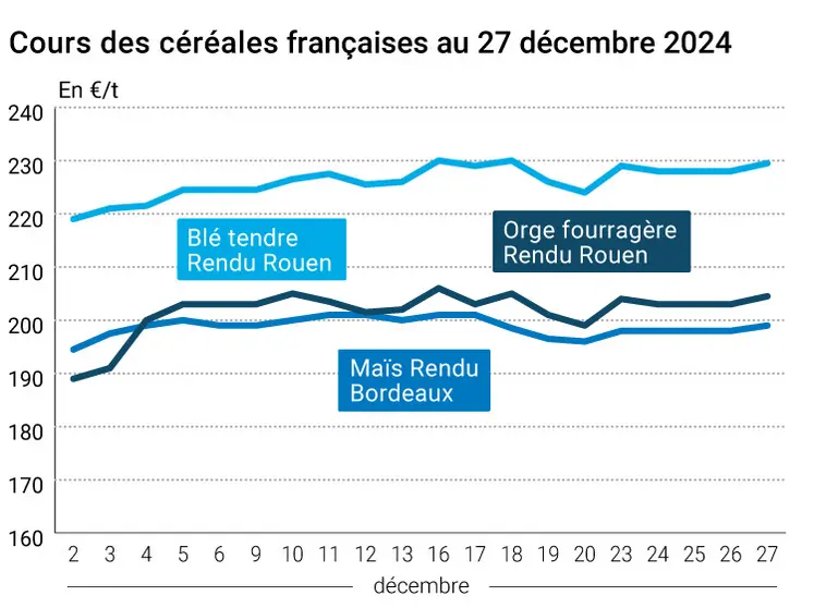 prix du blé tendre rendu Rouen, de l'orge fourragère rendu Rouen et du maïs rendu Bordeaux en juillet août 2024