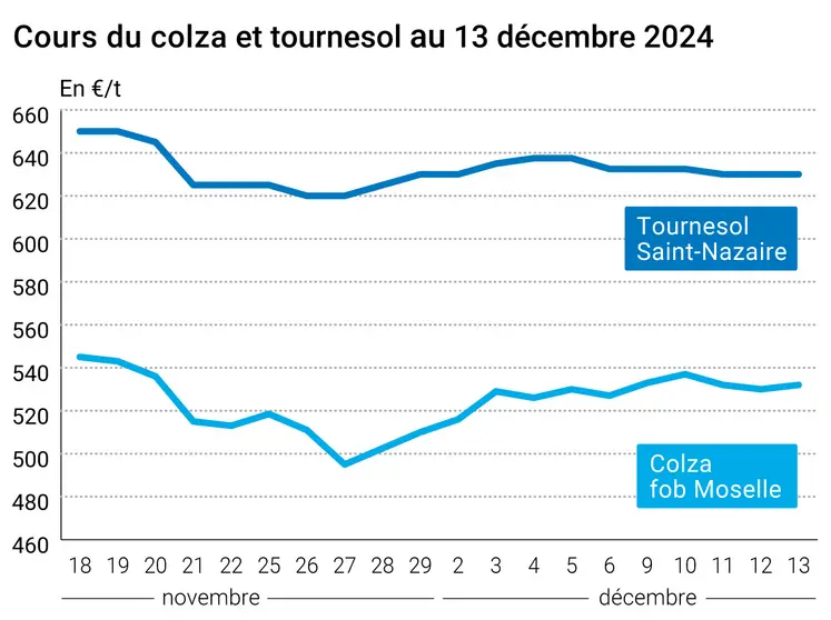 Graphique cours oléagineux français au 13 décembre 2024