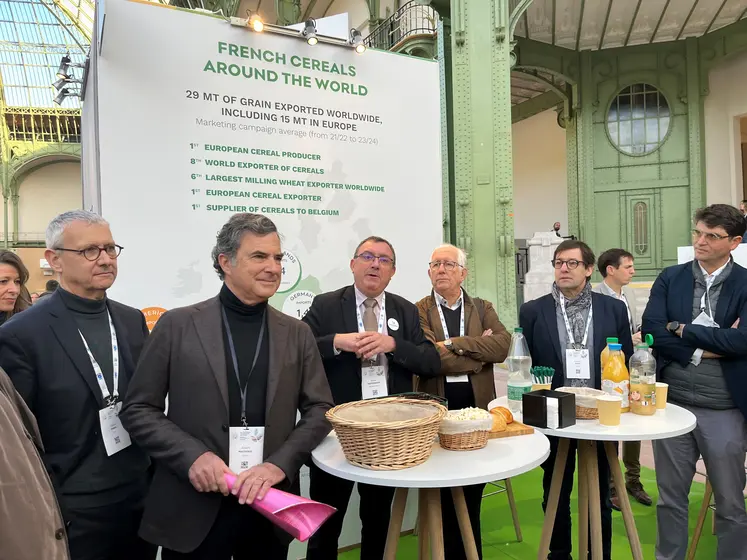Claude Tabel (UFS), Albert Mathieu (CFSI - Sifpaf), Benoît Piétrement, Jacques Mathieu et Frédéric Gond (Copil blé dur) sur le stand d'Intercéréales à la Bourse de commerce européenne le 6 décembre 2024 à Paris.