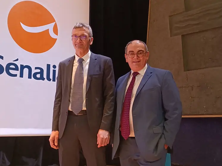 De gauche à droite, Didier Verbeke, président de Sénalia, et Gilles Kindelberger, son directeur général, lors de la réunion d'informations du prestataire de services rouennais, le 10 janvier 2025 à Paris.