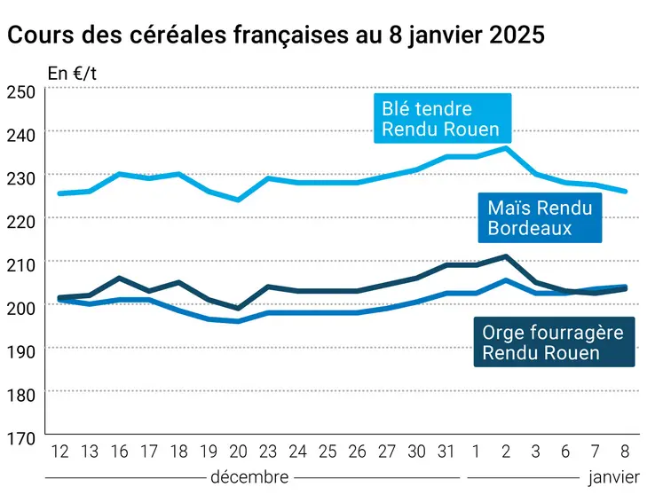 Graphique cours céréales françaises au 8 janvier 2025