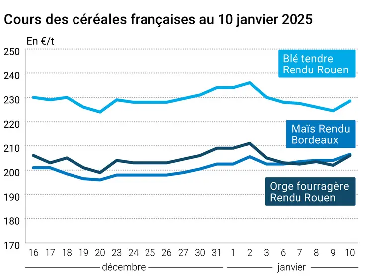 Graphique cours céréales françaises au 10 janvier 2025