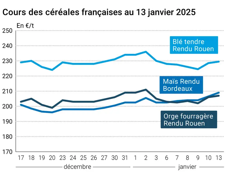 Graphique cours céréales françaises au 13 janvier 2025