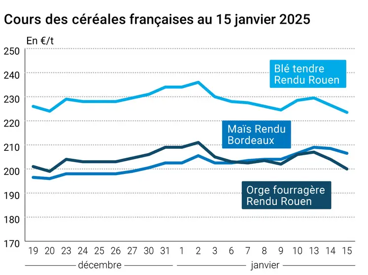 Graphique prix blé orge maïs France du 15 janvier 2025