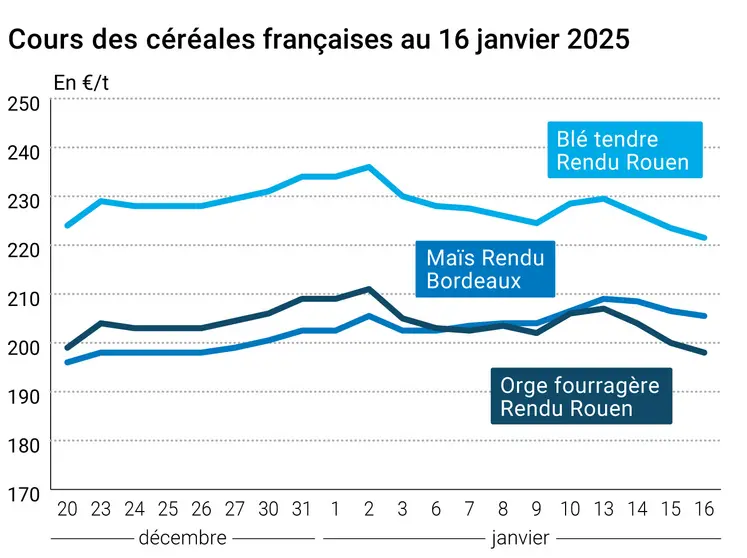 Graphique prix blé orge maïs France du 16 janvier 2025