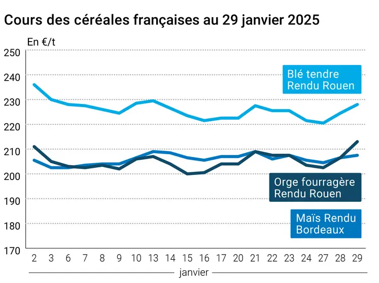 Graphique prix blé orge maïs France du 29 janvier 2025