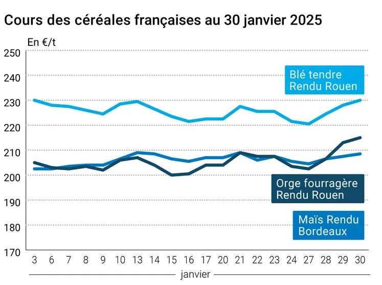 Graphique prix blé orge maïs France du 30 janvier 2025