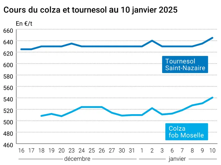 Graphique cours oléagineux français au 10 janvier 2025