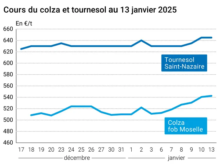 Graphique cours oléagineux français au 13 janvier 2025