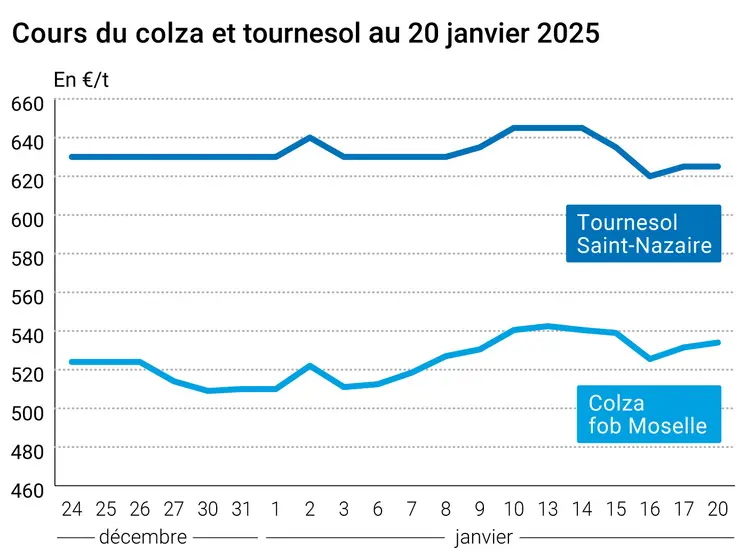 Prix du colza rendu Rouen et du tournesol rendu Saint Nazaire