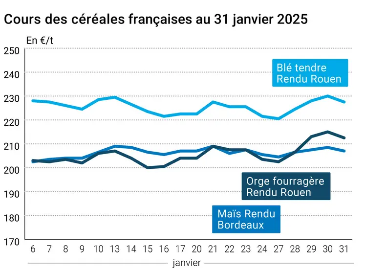 Graphique prix blé orge maïs France du 31 janvier 2025