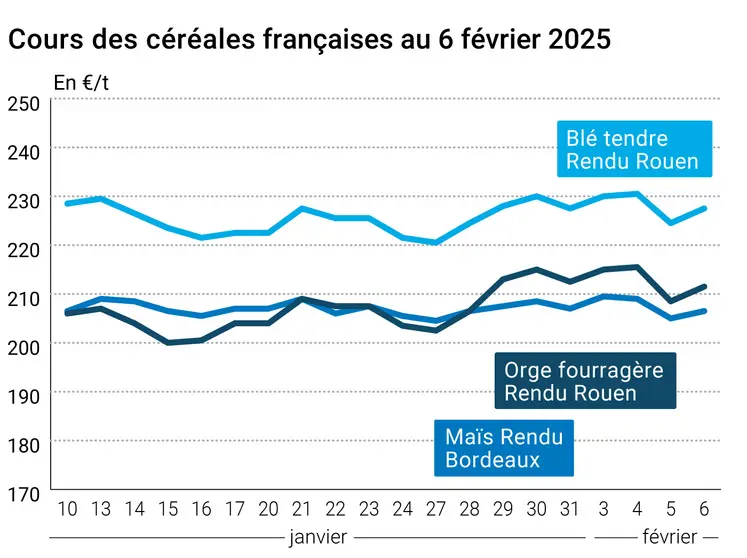 Graphique prix blé orge maïs France au 6 février 2025