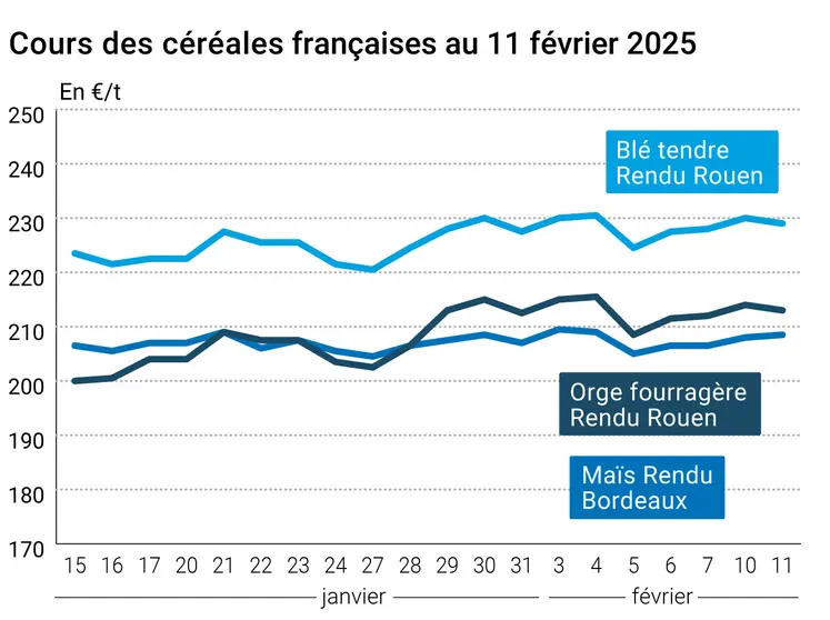 Graphique prix blé orge maïs France au 11 février 2025