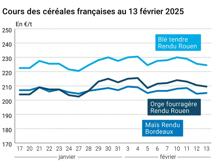 Graphique prix blé orge maïs France du 13 février 2025