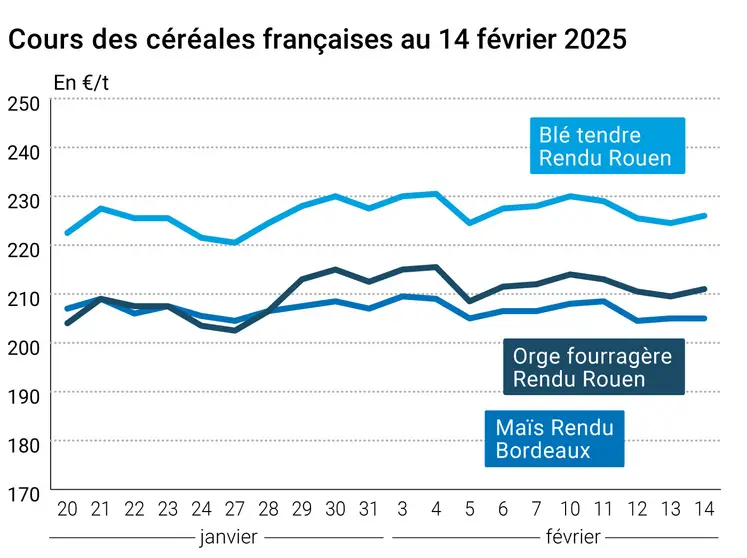 Graphique prix blé orge maïs France du 14 février 2025