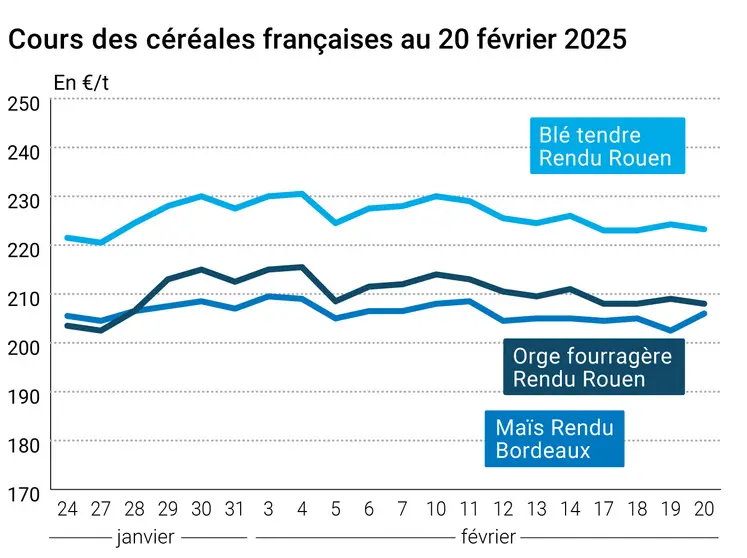 Graphique prix blé orge maïs France du 20 février 2025