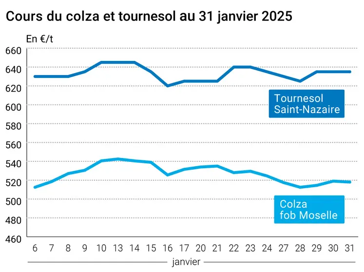 Graphique prix colza tournesol France du 31 janvier 2025