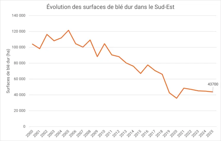 baisse des surfaces de blé dur dans le Sud Est de la France entre 2000 et 2025