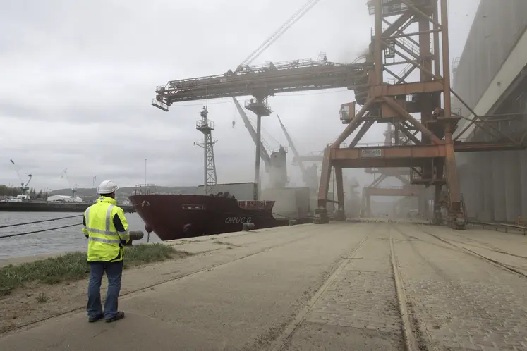 Chargement de 6 000 t d'orge dans un bateau sur le terminal Sénalia du port de Rouen