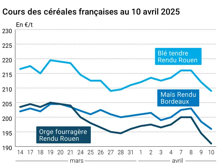 prix du blé tendre rendu Rouen, de l'orge fourragère rendu Rouen et du maïs rendu Bordeaux en juillet août 2024