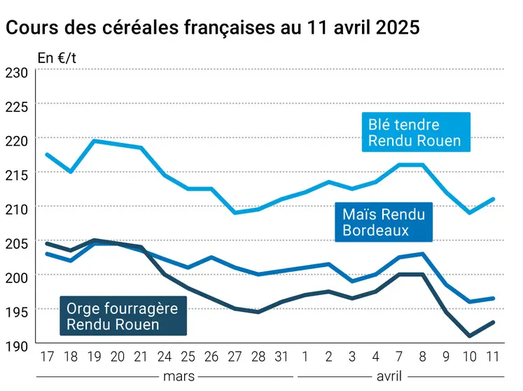 prix du blé tendre rendu Rouen, de l'orge fourragère rendu Rouen et du maïs rendu Bordeaux en juillet août 2024