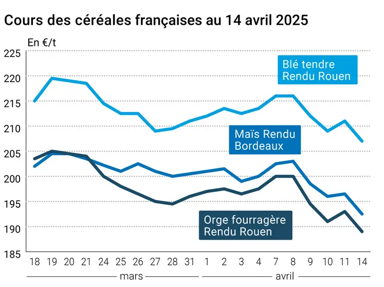 prix du blé tendre rendu Rouen, de l'orge fourragère rendu Rouen et du maïs rendu Bordeaux en juillet août 2024