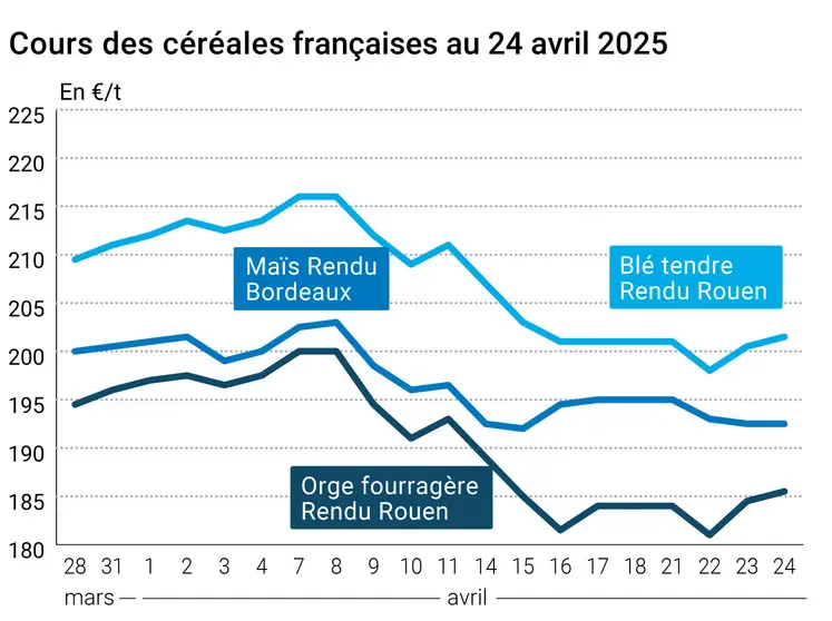 prix du blé tendre rendu Rouen, de l'orge fourragère rendu Rouen et du maïs rendu Bordeaux en juillet août 2024