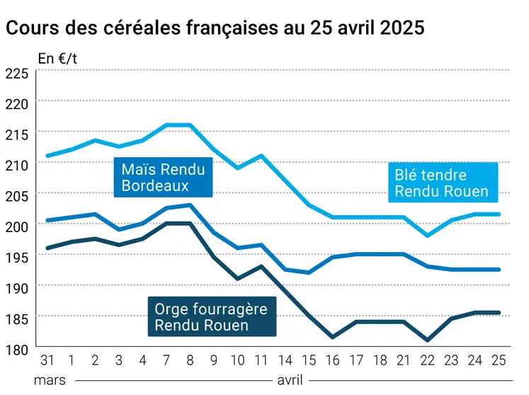prix du blé tendre rendu Rouen, de l'orge fourragère rendu Rouen et du maïs rendu Bordeaux en juillet août 2024