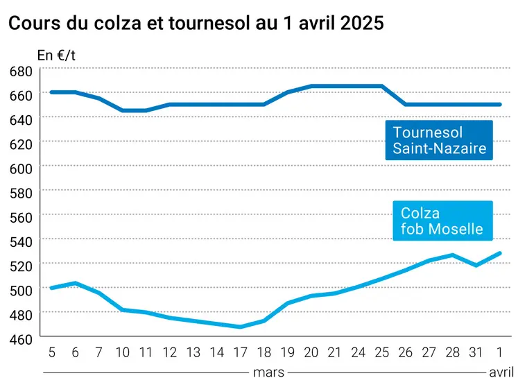 Graphique prix colza tournesol France du 1er avril 2025